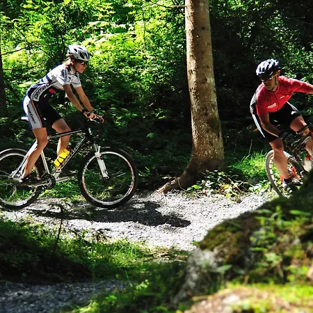 In - Salzburger Land 35404 *